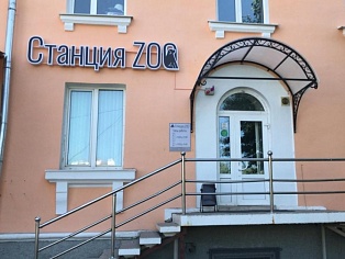 Изготовление и монтаж ветовой вывески "Станция ZOO", Краснотурьинск