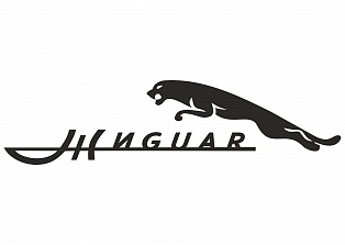 Наклейка на авто "Жигуар"