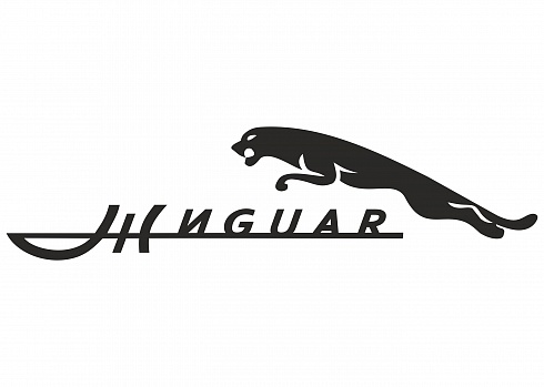 Наклейка на авто "Жигуар"