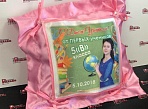Изготовление сувенирных подушек 