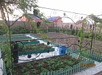 Кованная виноградная лоза г. Краснотурьинск