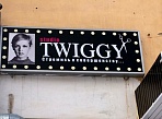 Изготовление и монтаж лицевой части вывески для студии TWIGGY  г.Североуральск