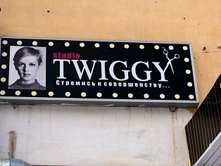 Изготовление и монтаж лицевой части вывески для студии TWIGGY  г.Североуральск