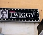 Изготовление и монтаж лицевой части вывески для студии TWIGGY  г.Североуральск