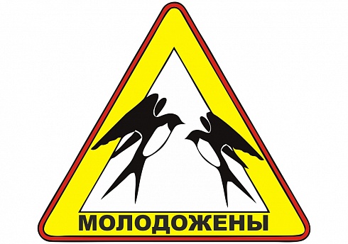 Наклейка на авто "Молодожены"