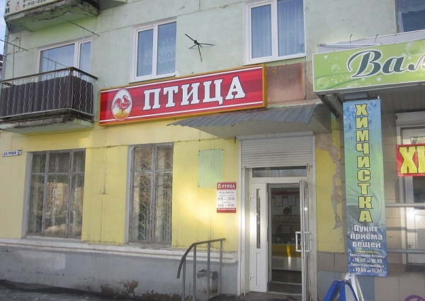 Оформление магазина Птица в Карпинске, вывеска