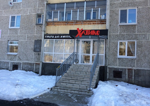 Изготовление вывески для зоомагазина "Хатико" г. Краснотурьинск 