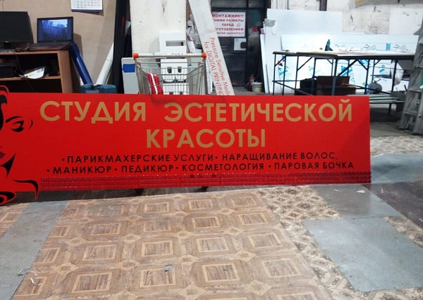 Изготовление и монтаж вывески студии эстетической красоты "МОНЕ", г. Карпинск