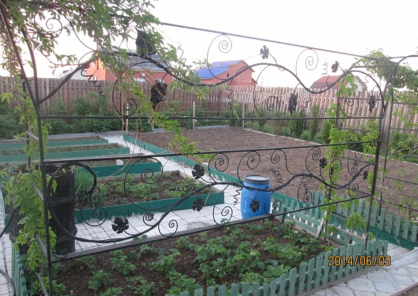 Кованная виноградная лоза г. Краснотурьинск