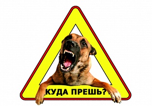 Наклейка на авто "Куда прешь"